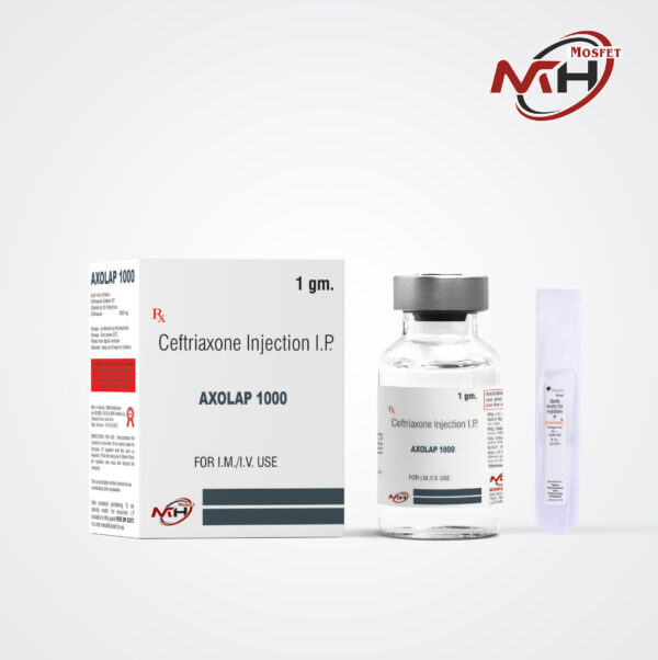 AXOLAP 1000
